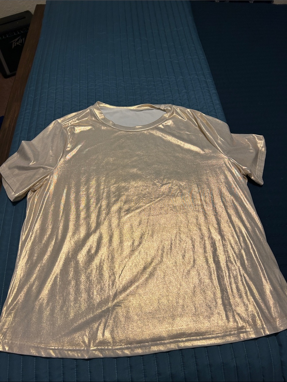 Metallic Gold Shimmer Short Sleeve Top